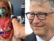 Bill Gates caught funnelling money to regulator who approved his dangerous vaccine for children