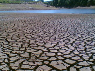 13 WEF-infiltrated countries agree to engineer a global famine to save the planet