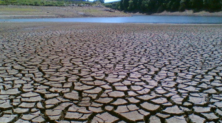 13 WEF-infiltrated countries agree to engineer a global famine to save the planet