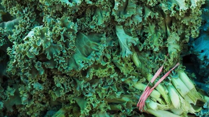 Organic kale found to contain carcinogenic chemicals