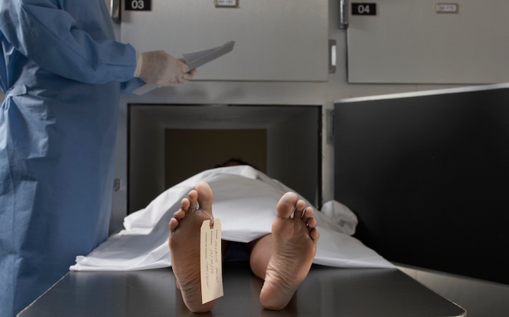 Peer reviewed study confirms 75 percent of all deaths are from Covid jabs