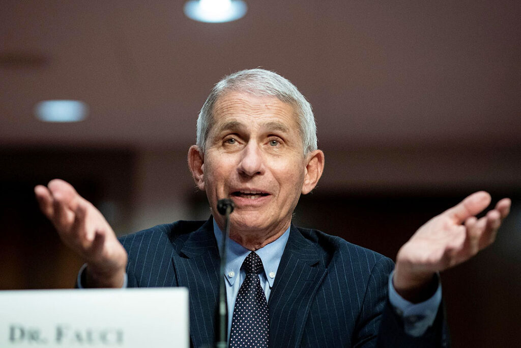 Dr Fauci government scientist