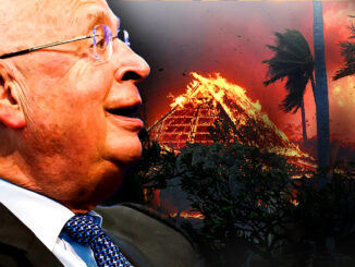 The fake Maui wildfires were orchestrated by the globalist elite to poison our air, water, and soil, and redistribute property into the hands of the elite, according to a World Economic Forum insider who warns that "Build back better" literally means destroying things first and then rebuilding according to New World Order plans.