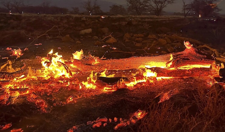 Maui authorities deliberately blocked road so children would perish in wildfires