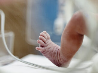 WEF declares that population collapse is good for the planet