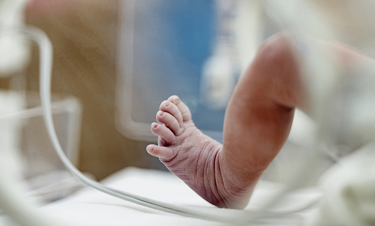 WEF declares that population collapse is good for the planet