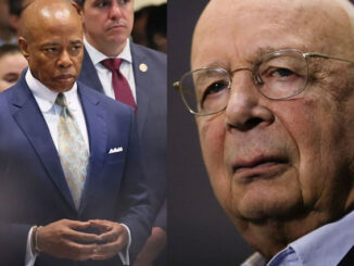 U.S. cities sign WEF treaty to ban cars, meat by 2030