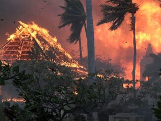 Dems to buy up land destroyed by Hawaii wildfires