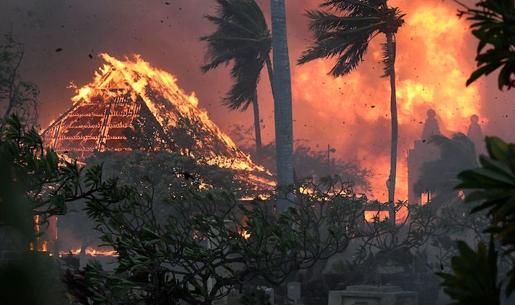 Dems to buy up land destroyed by Hawaii wildfires