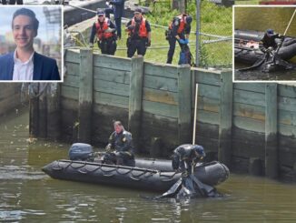 goldman sachs analyst John Castic