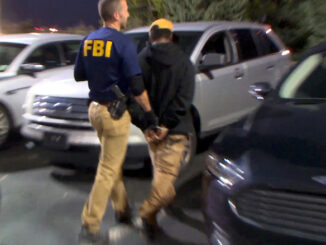 Police bust massive pedophile ring in America - rescue hundreds of children