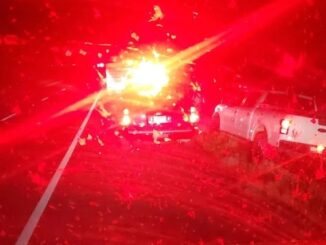 Trump supporter truck driver rescues over a dozen child sex victims