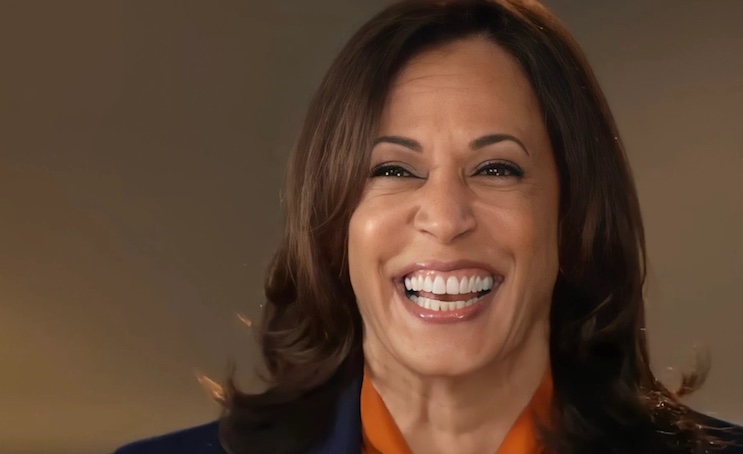 Kamala Harris admits she is preparing to assume presidential duties