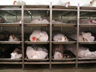 US government admit billions will die before 2030