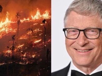 Bill Gates wants to burn down 70 million acres of trees in America to save the planet