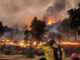 Top climate scientists says WEF arsonists responsible for wildfires, not global warming.