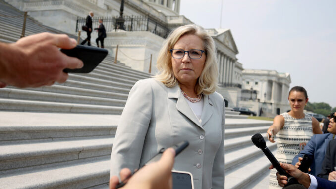 Liz Cheney announces 2024 presidential run to fight Trump