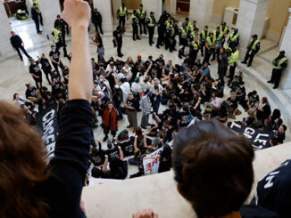 After Hamas sympathisers storm capitol, Biden's DOJ confirm no prosecutions will be pursued