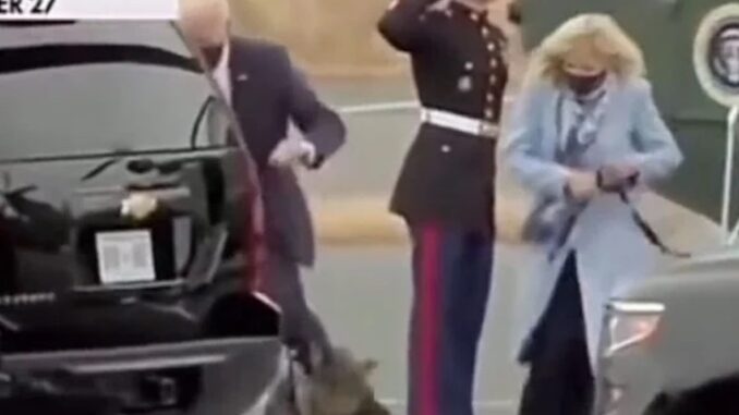 Biden caught beating his dog up in front of cameras