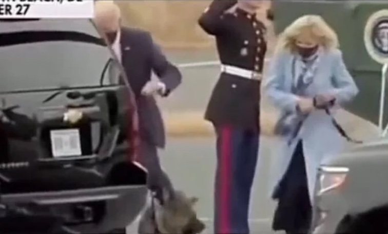 Biden caught beating his dog up in front of cameras