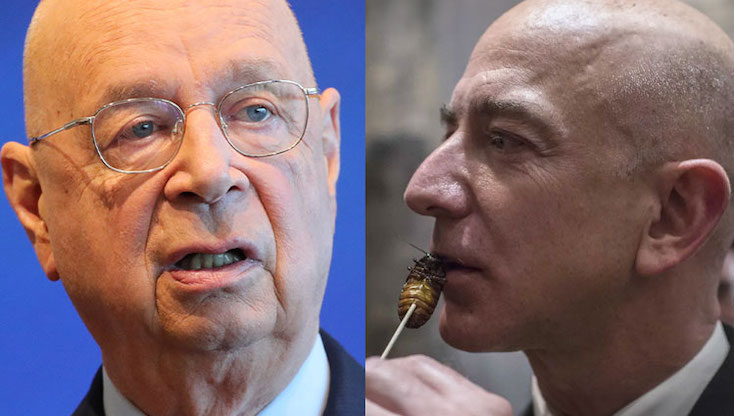 Jeff Bezos says public must urgently switch to exclusively bug-based diet to save the planet
