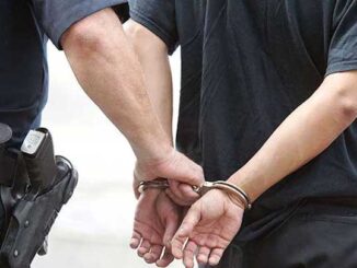 Writer jailed for calling fat lesbian a fat lesbian