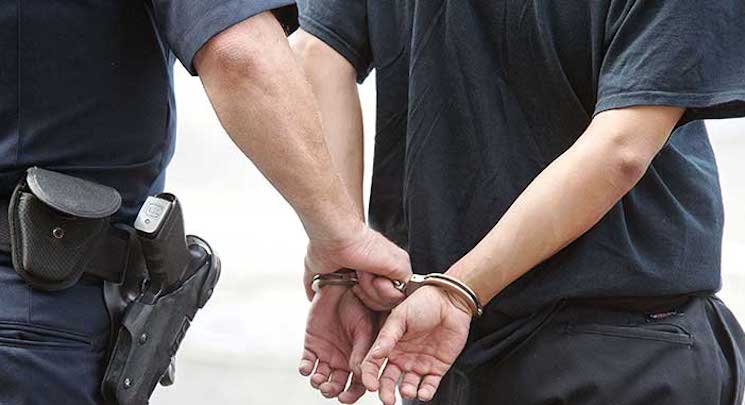 Writer jailed for calling fat lesbian a fat lesbian