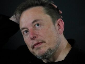 White House labels Elon Musk a domestic terrorist for opposing anti-white racism