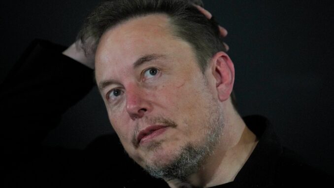 White House labels Elon Musk a domestic terrorist for opposing anti-white racism