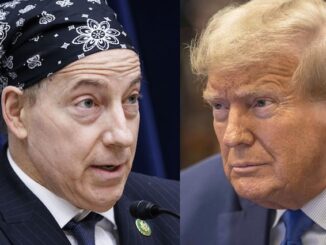Rep Raskin declares that President Trump is a terrorist who cannot run for president.
