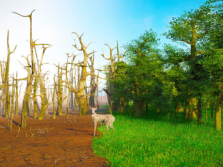 animals climate change