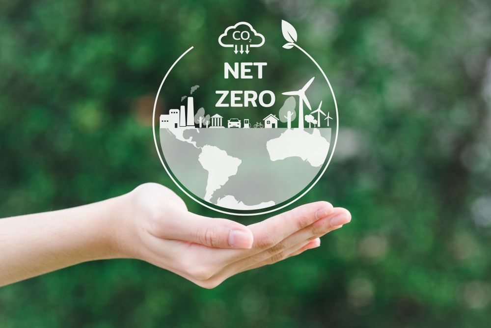 net zero