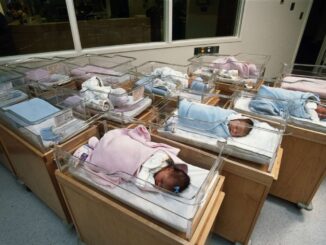 new born babies