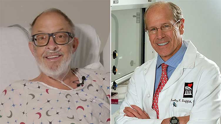 pig heart transplant