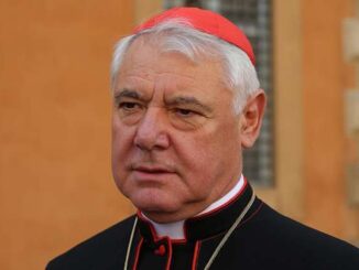 Top Cardinal warns mass migration causing nations to lose their sovereignty