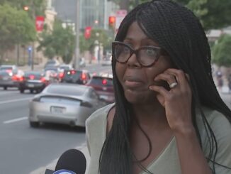 Trans activist pedophile kendall stephens