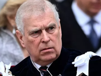 VIP elite panic after Federal Judge agrees to release Epstein pedophile list.