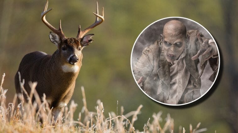 zombie deer disease