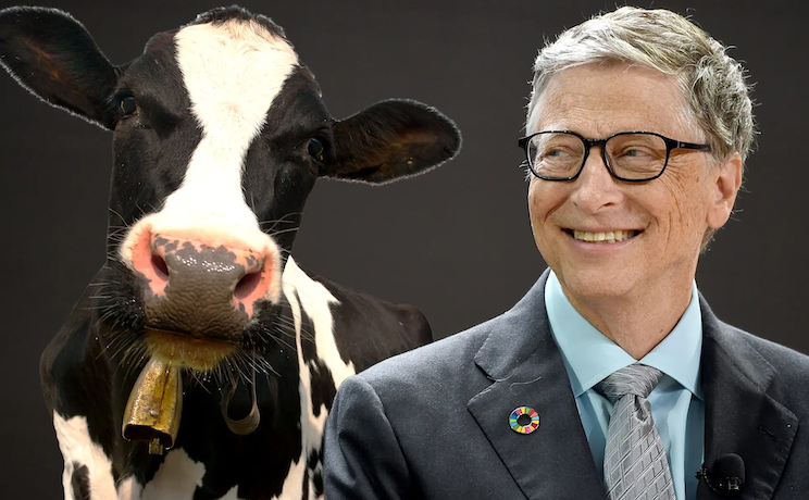 Bill Gates' fake milk contains 92 carcinogenic chemicals