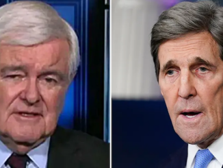 Newt Gingrich warns John Kerry's climate change agenda is a depopulation program