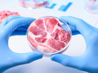 lab grown meat