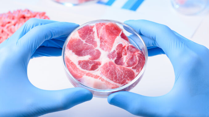 lab grown meat