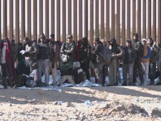 Arizona ILLEGAL MIGRANTS