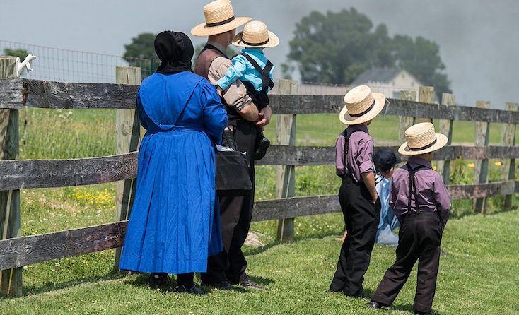 Amish family raided for growing their own organic produce