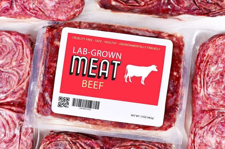 Israel approves sale of Bill Gates' carcinogenic lab grown meat.