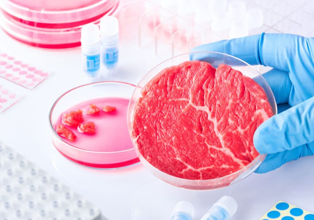 lab grown meat