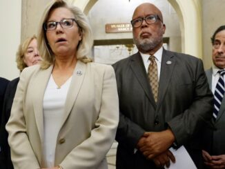 J6 committee admits trials are an election-year stunt