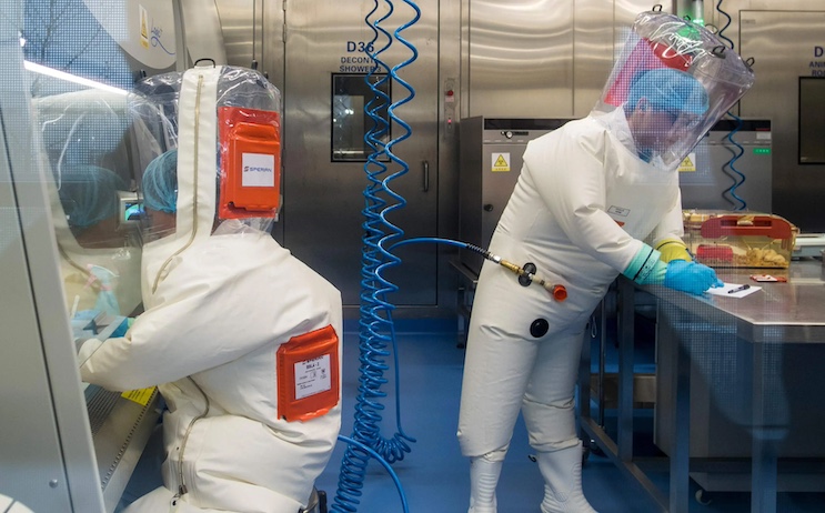 Covid was engineered in a biolab by depopulation globalists, study finds.