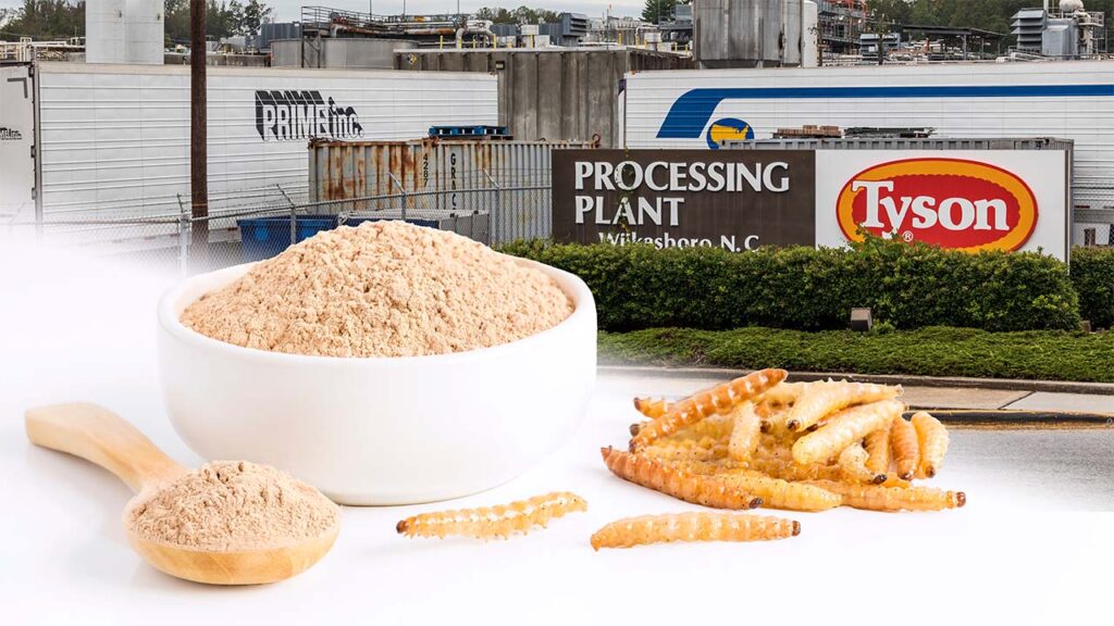 Tyson foods insect protein