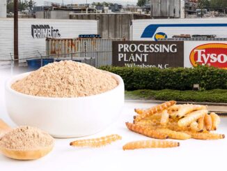 Tyson foods insect protein
